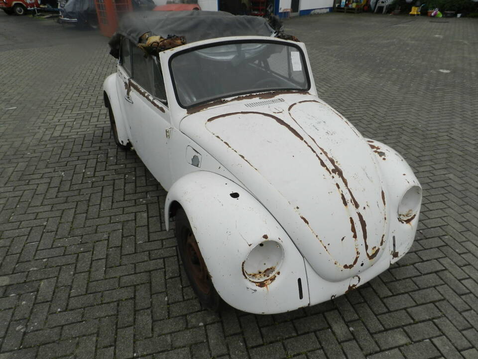 Image 11/51 de Volkswagen Coccinelle 1500 (1968)