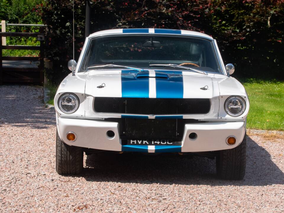 Bild 9/50 von Ford Shelby GT 350 (1965)