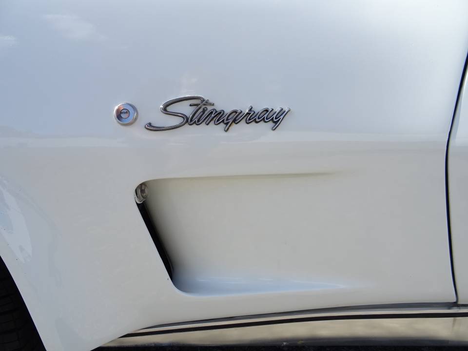 Bild 13/50 von Chevrolet Corvette Stingray (1976)