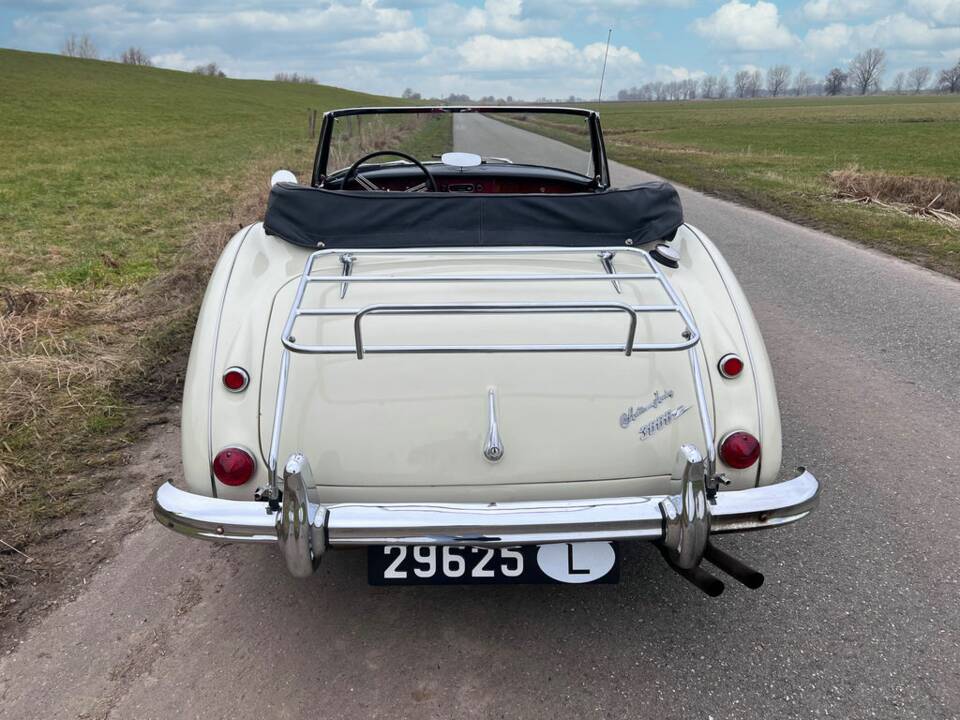 Immagine 7/8 di Austin-Healey 3000 Mk III (BJ8) (1964)
