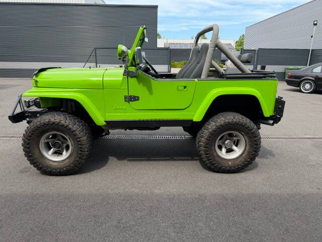 Bild 8/17 von Jeep CJ-7 (1985)
