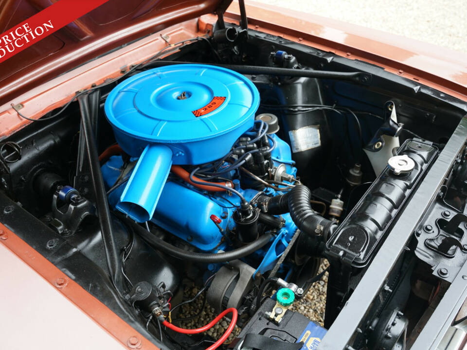 Bild 15/50 von Ford Mustang 289 (1966)