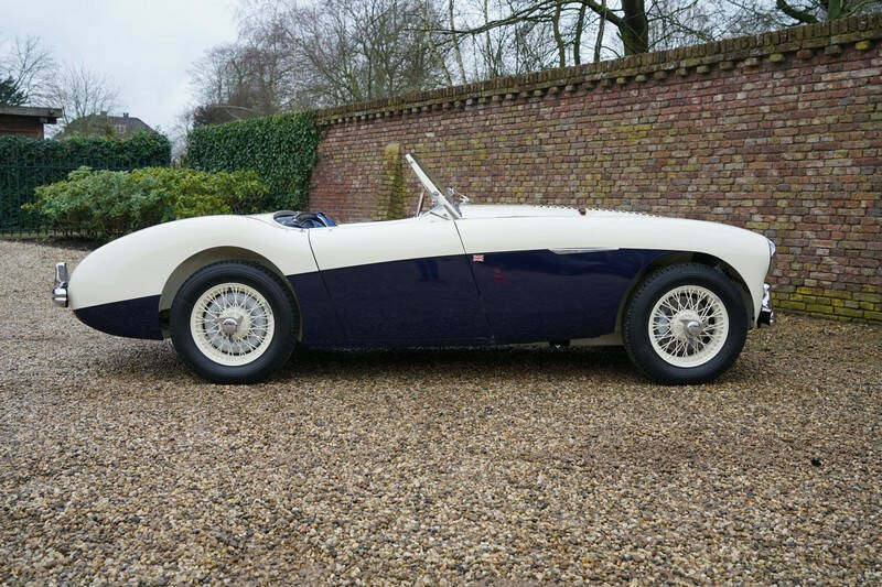 Bild 15/50 von Austin-Healey 100&#x2F;4 (BN1) (1955)