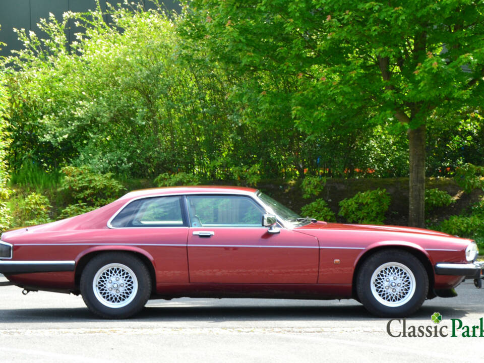 Imagen 6/50 de Jaguar XJS 5.3 V12 (1992)