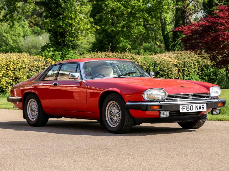Image 1/43 of Jaguar XJ-S V12 (1988)