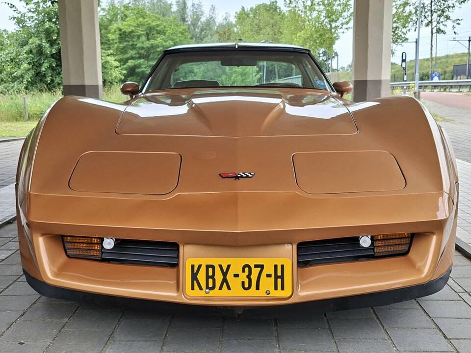 Bild 7/8 von Chevrolet Corvette Cross-Fire Injection (1982)