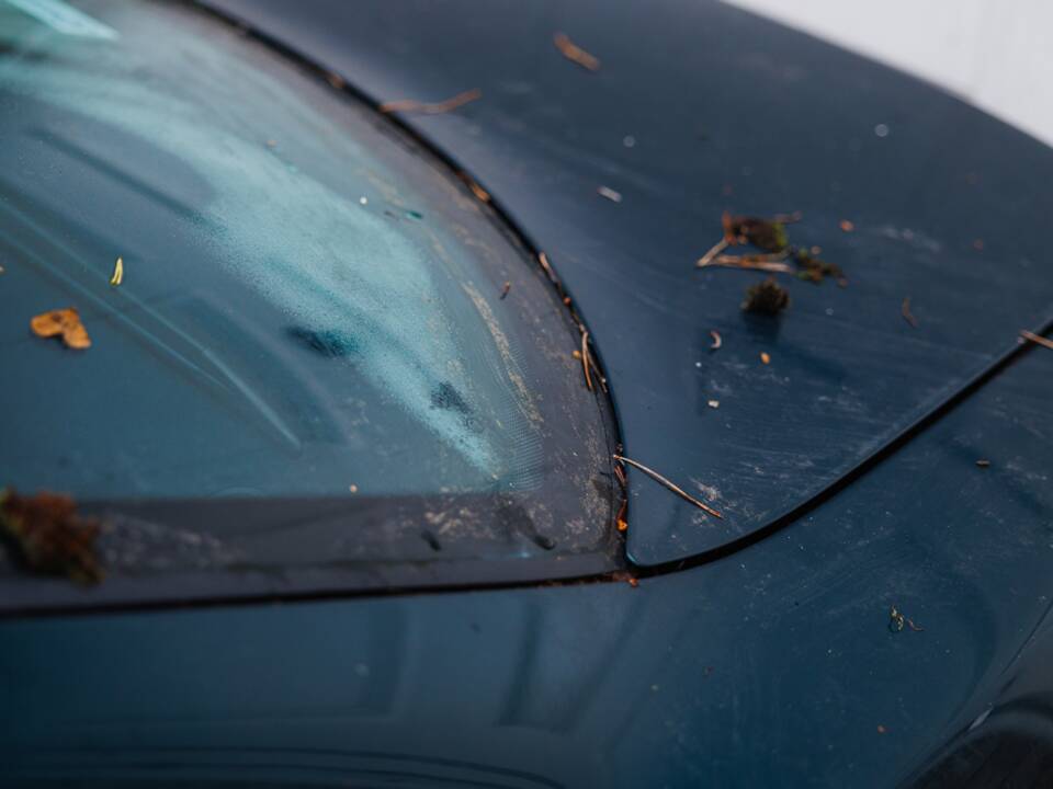 Bild 12/50 von BMW 850CSi (1994)