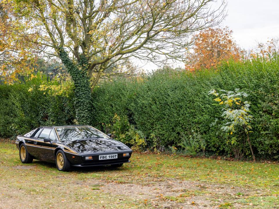Immagine 23/50 di Lotus Esprit S2 (1979)