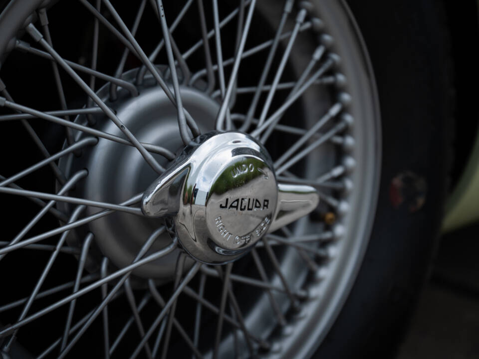 Afbeelding 19/99 van Jaguar XK 120 C (C-Type) (1954)