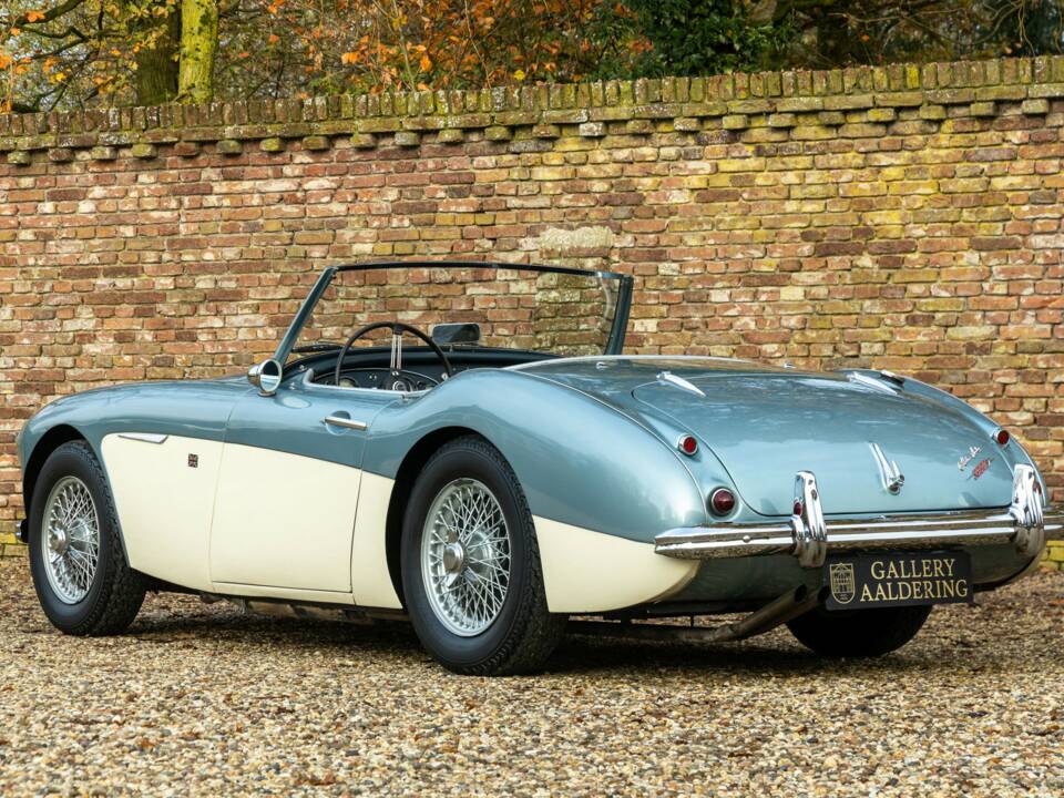 Bild 2/50 von Austin-Healey 3000 Mk I (BN7) (1960)