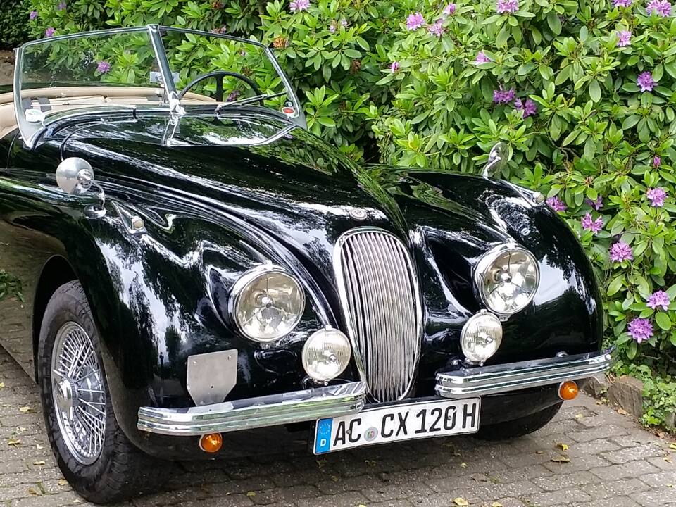 Image 6/6 of Jaguar XK 120 OTS (1952)