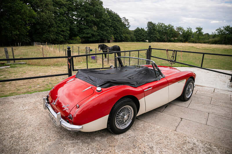 Imagen 11/39 de Austin-Healey 3000 Mk II (BJ7) (1963)