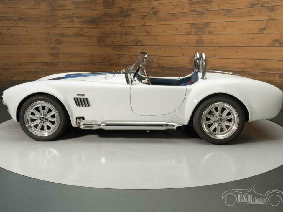 Bild 7/19 von AC Cobra 260 (1965)