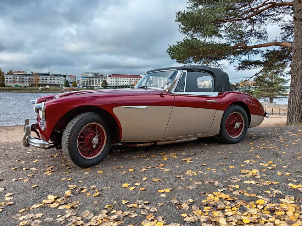 Immagine 9/23 di Austin-Healey 3000 Mk II (BJ7) (1964)