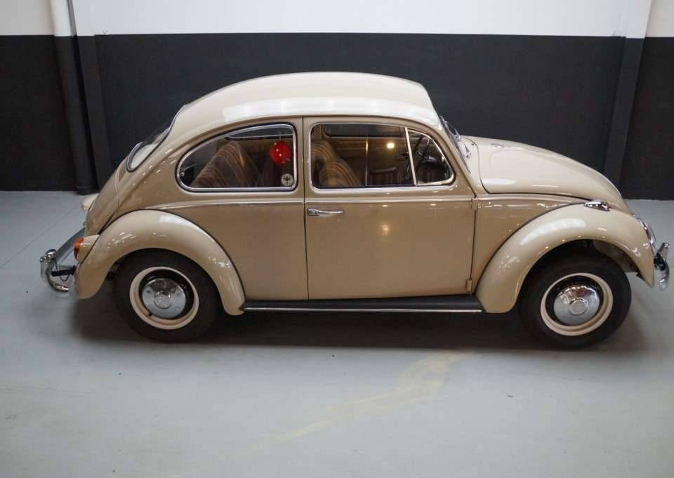 Immagine 33/50 di Volkswagen Beetle 1200 (1967)