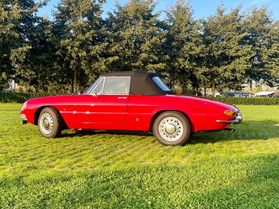 Image 4/28 of Alfa Romeo 1750 Spider Veloce (1968)