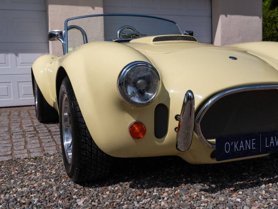 Bild 13/51 von AC Cobra 289 (1999)