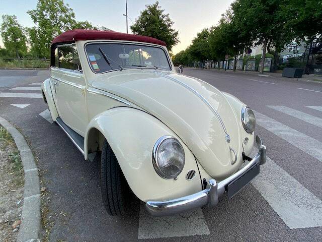 Image 5/7 of Volkswagen Beetle 1200 Convertible (1954)