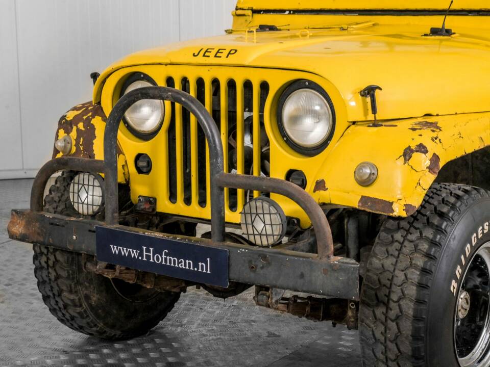 Afbeelding 33/50 van Willys-Viasa CJ-3B (1957)