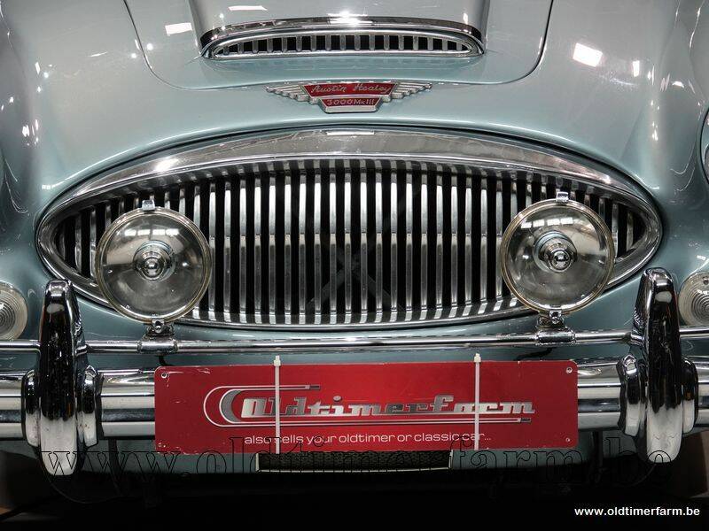 Immagine 11/15 di Austin-Healey 3000 Mk III (BJ8) (1967)