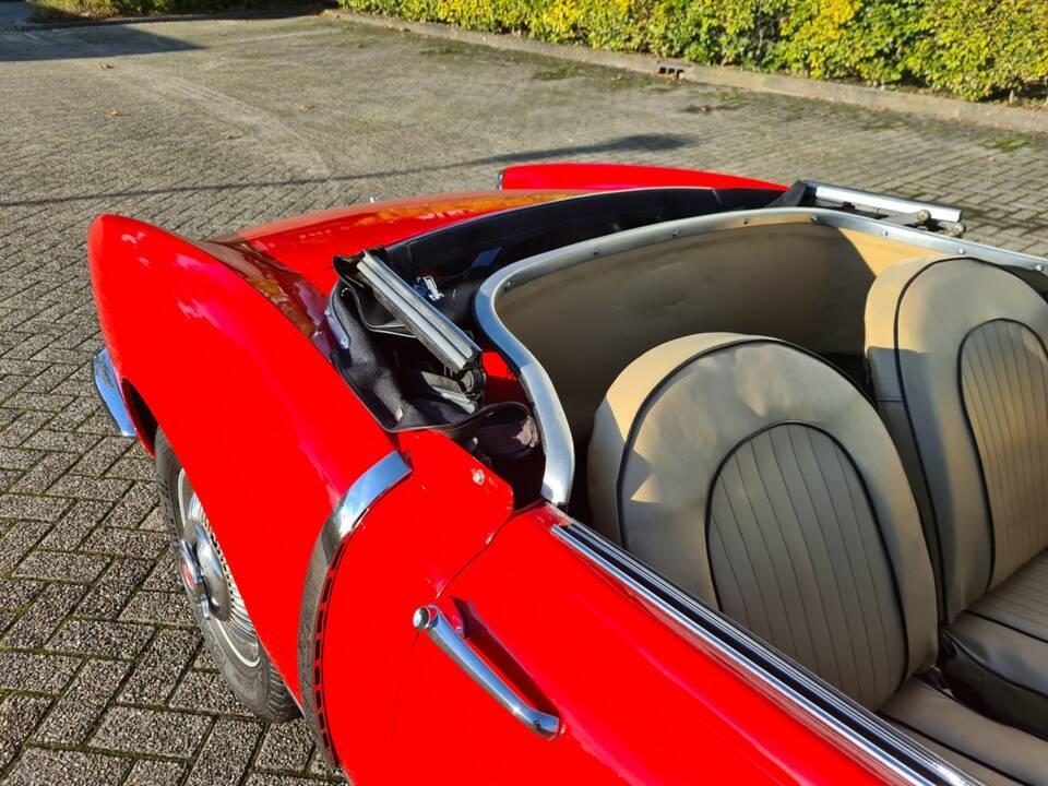 Bild 48/52 von FIAT 1200 Cabriolet (1959)