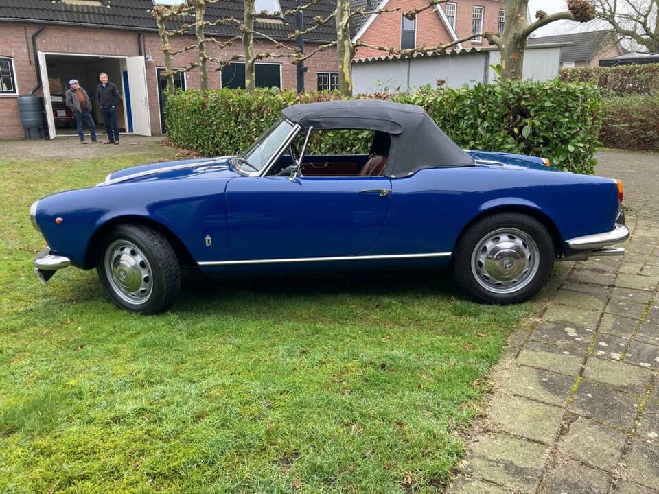 Immagine 4/7 di Alfa Romeo Giulietta Spider (1963)
