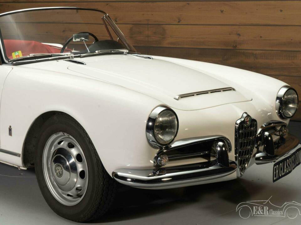 Immagine 4/19 di Alfa Romeo Giulia 1600 Spider Veloce (1964)