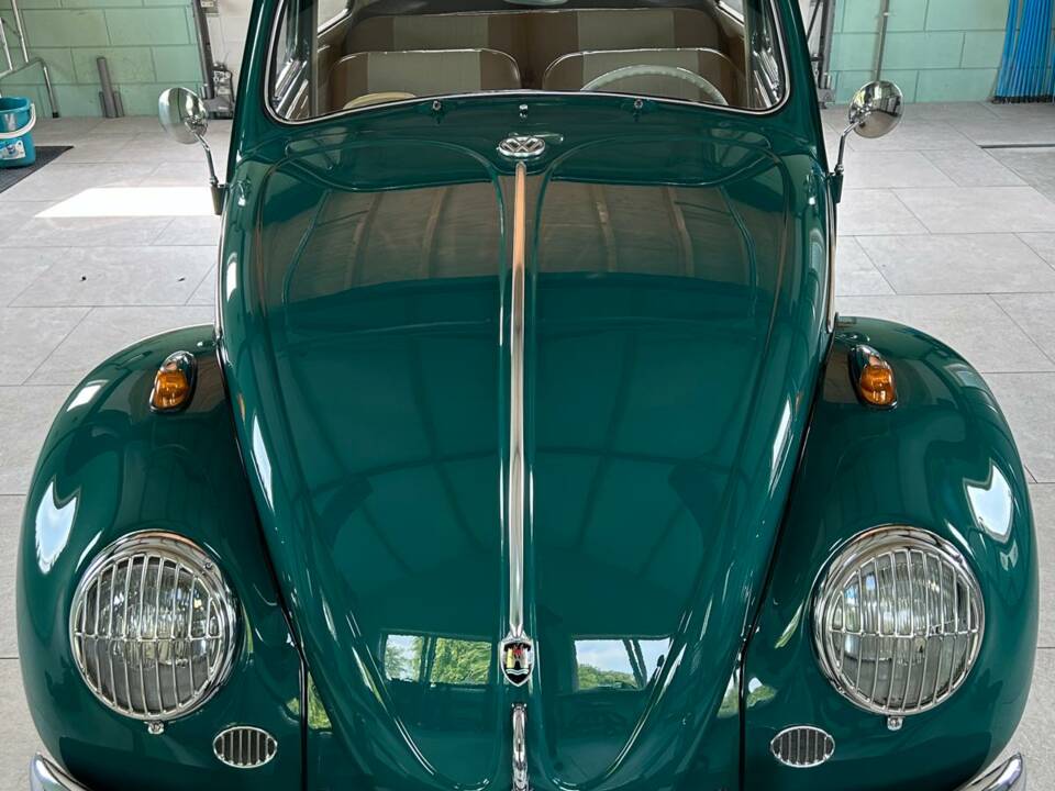 Bild 13/20 von Volkswagen Käfer 1200 Standard "Dickholmer" (1964)