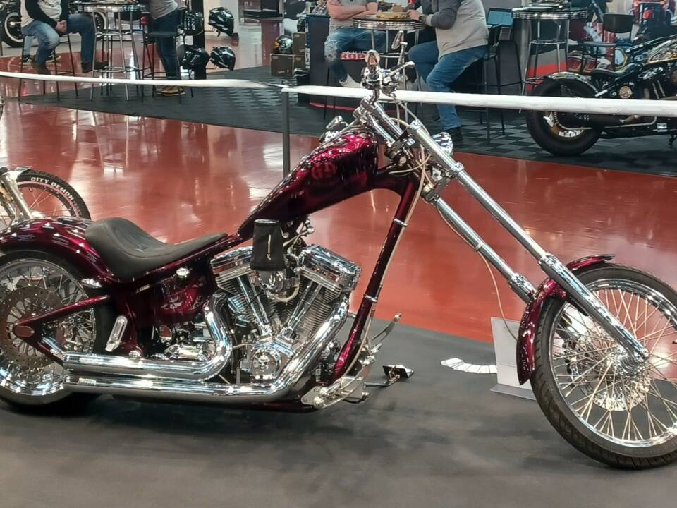 Bild 10/15 von Harley-Davidson DUMMY (2007)