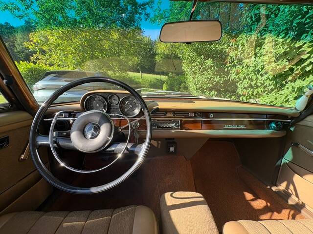 Image 17/52 of Mercedes-Benz 250 SE (1966)