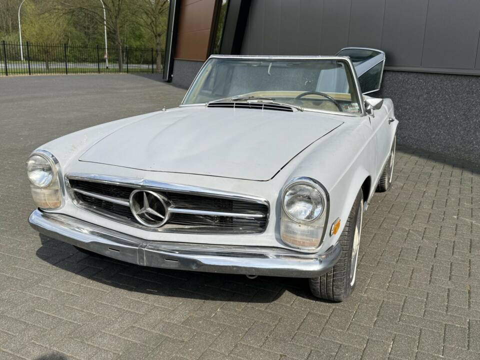 Bild 3/50 von Mercedes-Benz 250 SL (1967)