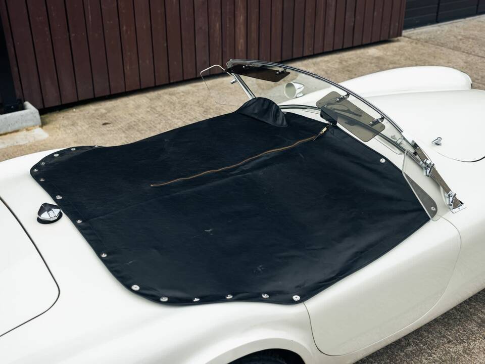 Afbeelding 13/49 van Shelby Cobra 289 (1964)