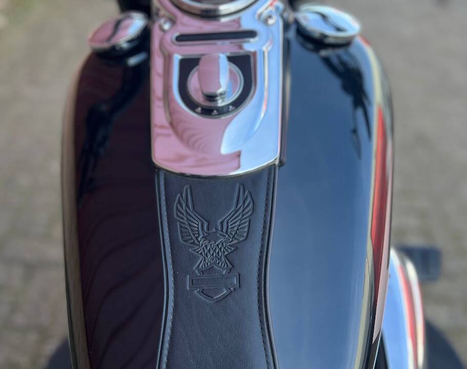 Bild 26/38 von Harley-Davidson DUMMY (2015)