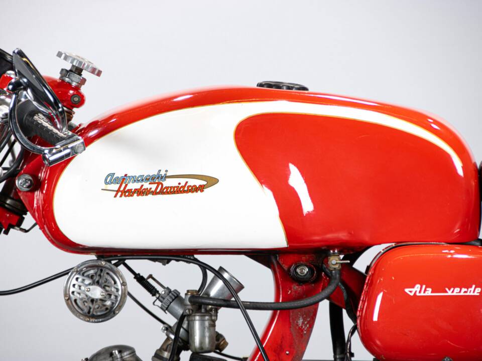 Image 42/50 of Aermacchi Ala Verde (1964)