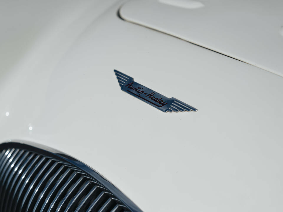 Image 31/50 of Austin-Healey 100 S (1955)
