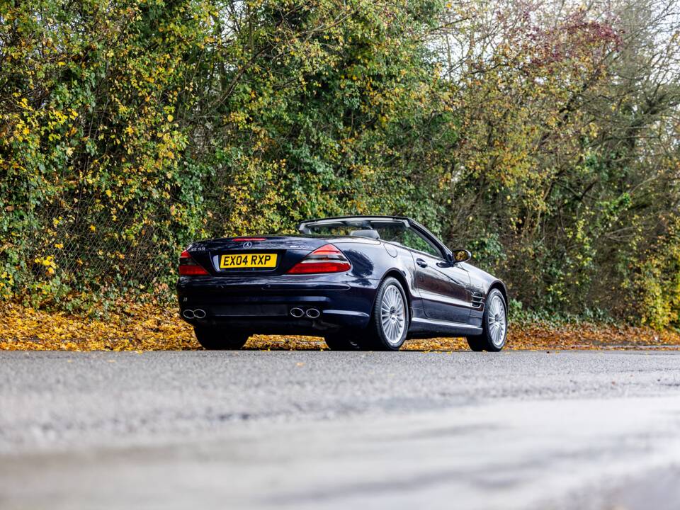 Bild 18/50 von Mercedes-Benz SL 55 AMG (2004)