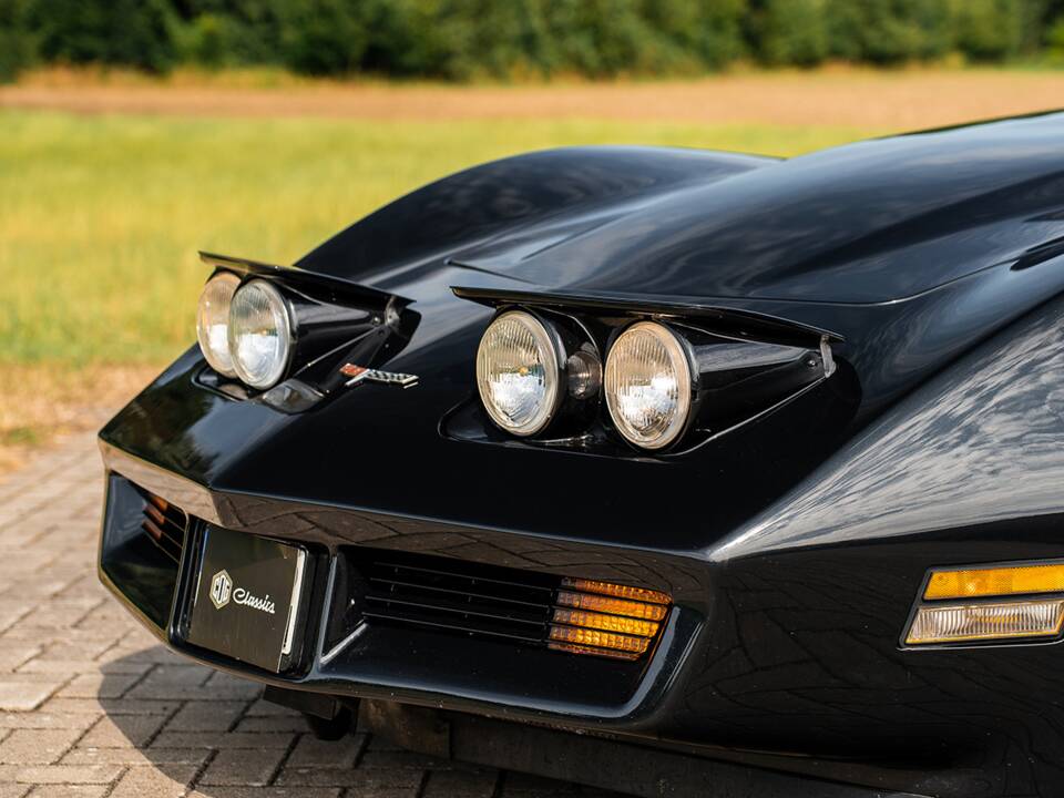 Immagine 11/42 di Chevrolet Corvette Sting Ray (1980)