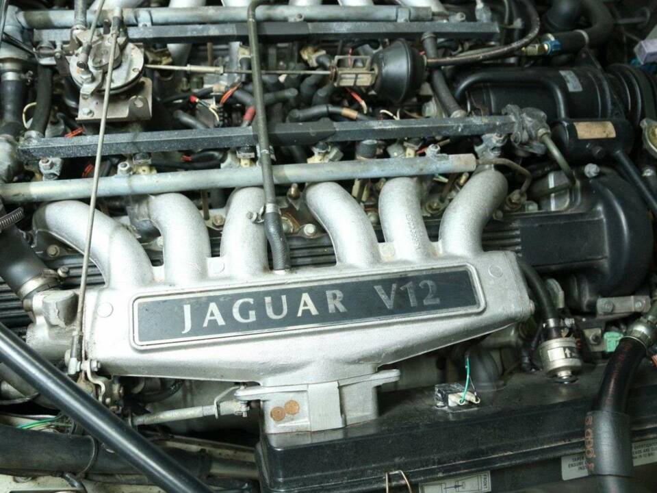 Image 45/50 de Jaguar XJS 5.3 V12 (1992)