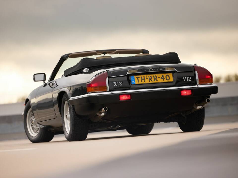 Bild 8/8 von Jaguar XJS 5.3 V12 (1989)
