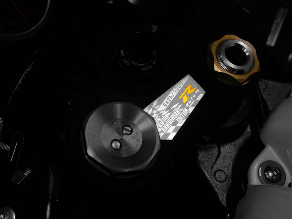 Bild 10/21 von Suzuki DUMMY (2010)