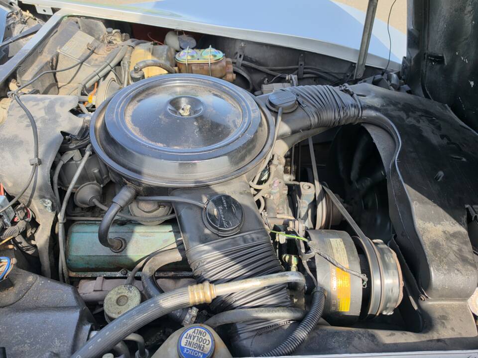 Bild 30/37 von Chevrolet Corvette 5.0L (1979)