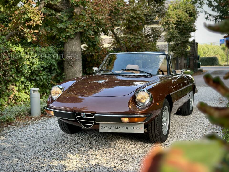 Image 4/100 of Alfa Romeo 2000 Spider Veloce (1980)