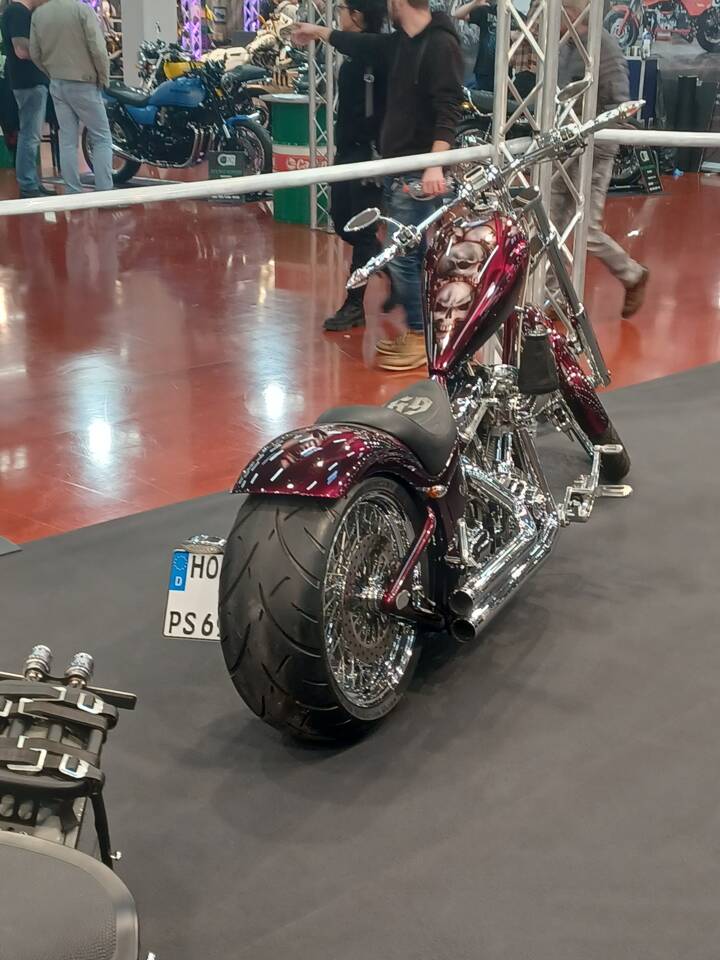 Bild 7/15 von Harley-Davidson DUMMY (2007)