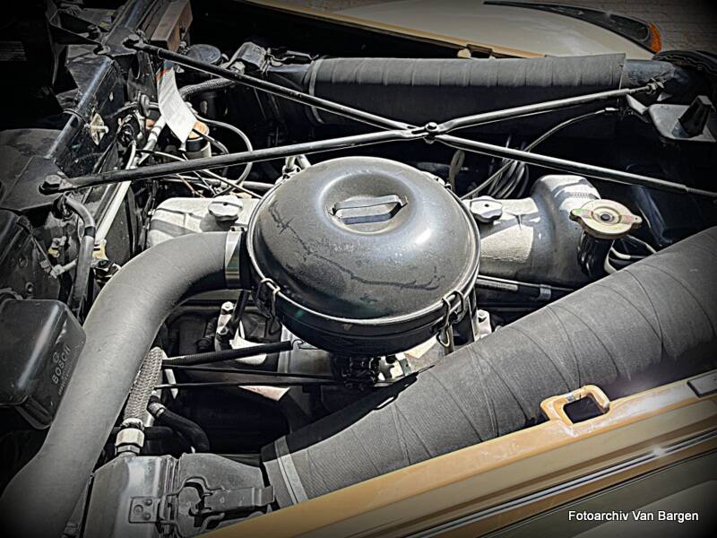 Image 20/38 of Mercedes-Benz 220 Cabriolet A (1954)