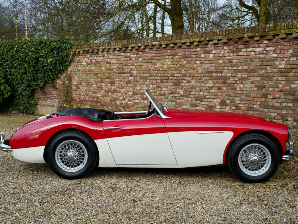 Bild 29/50 von Austin-Healey 3000 Mk I (BT7) (1961)