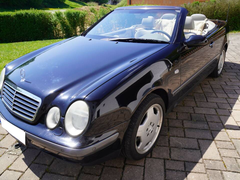 Bild 13/17 von Mercedes-Benz CLK 320 (1998)
