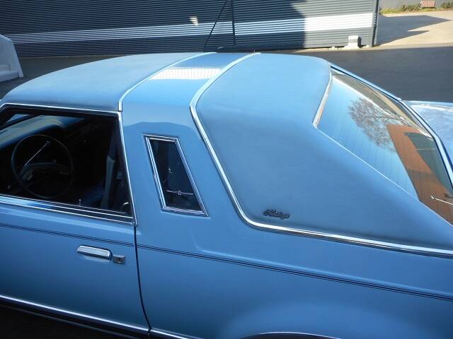 Image 9/21 of Ford Thunderbird Heritage Edition (1979)