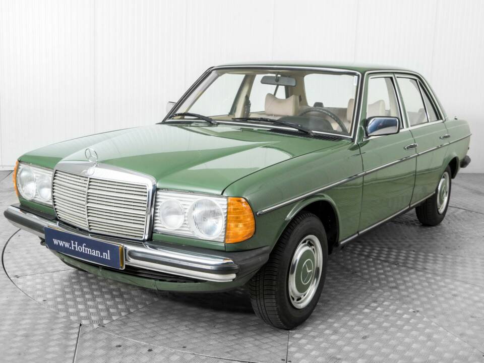 Afbeelding 17/50 van Mercedes-Benz 300 D (1978)