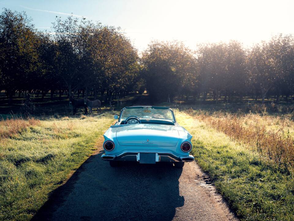 Bild 52/59 von Ford Thunderbird (1957)