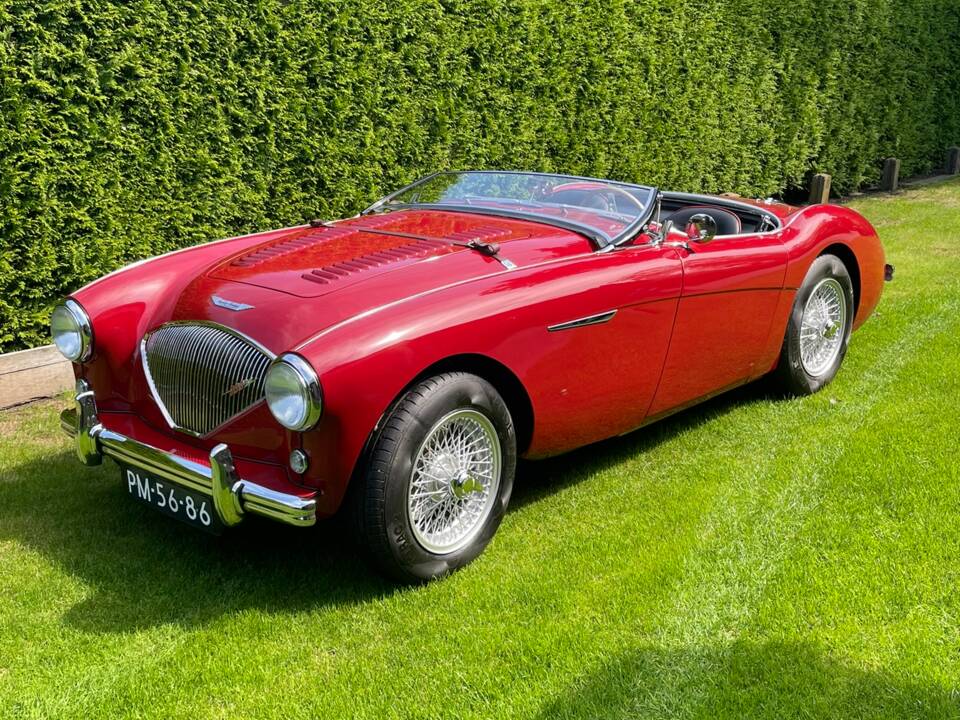 Bild 1/56 von Austin-Healey 100&#x2F;4 (BN1) (1955)